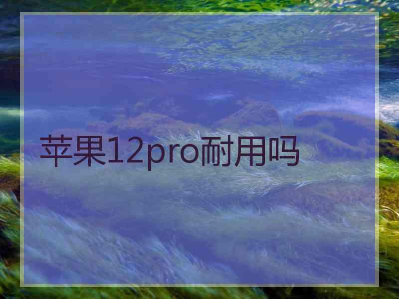 苹果12pro耐用吗