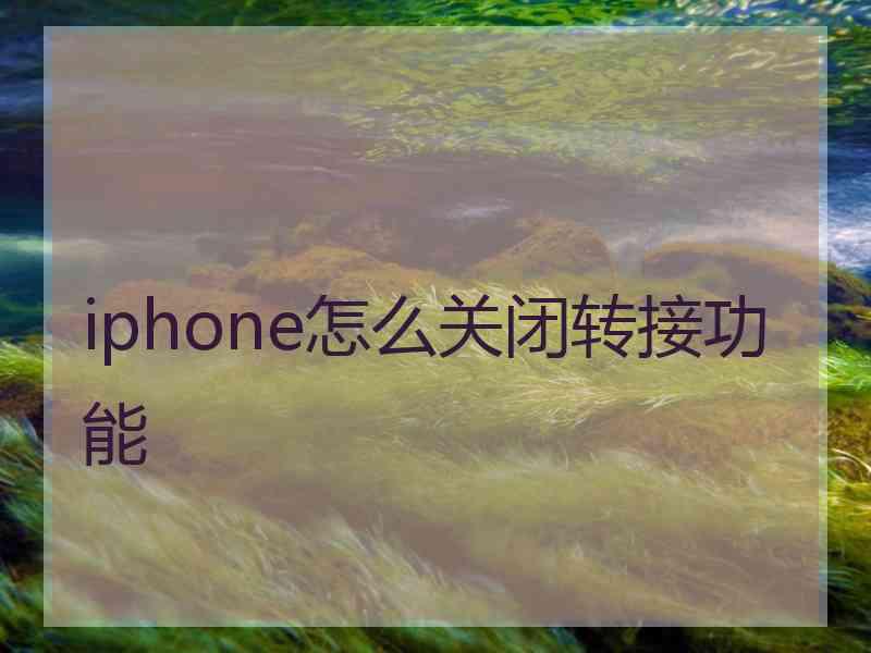 iphone怎么关闭转接功能