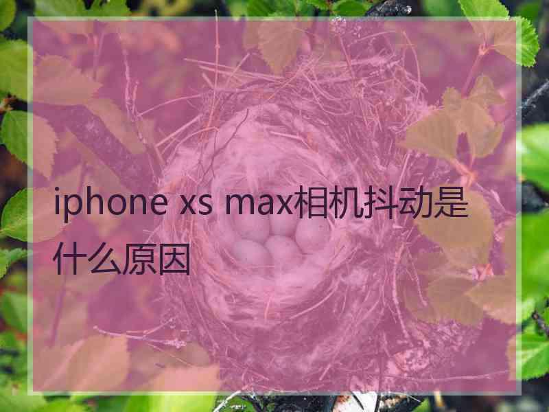 iphone xs max相机抖动是什么原因