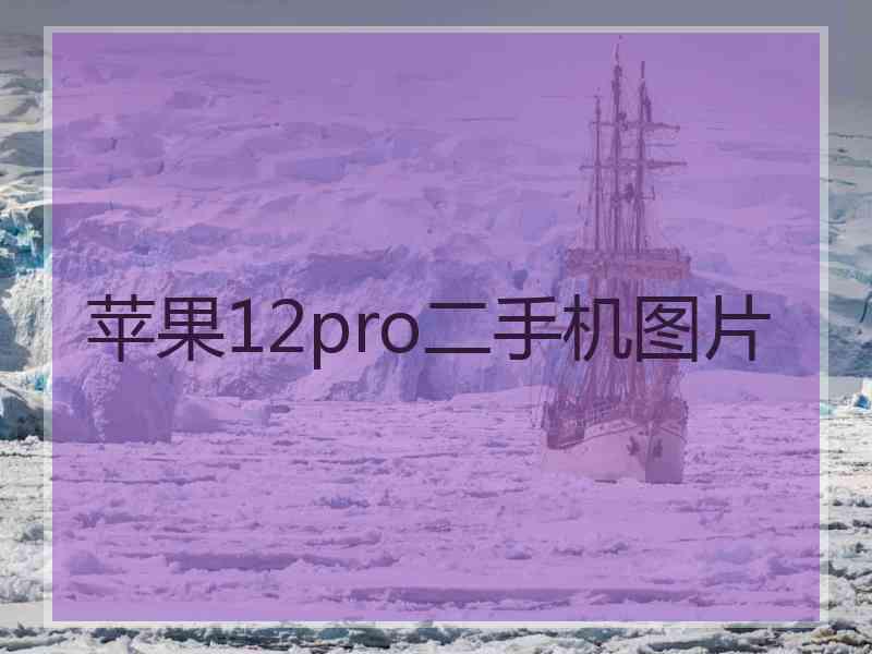 苹果12pro二手机图片