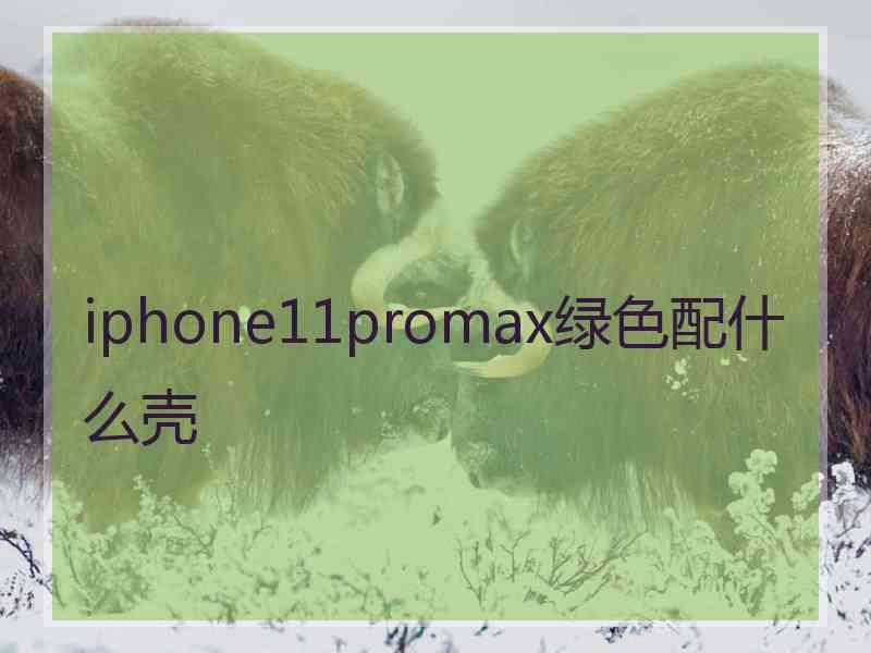 iphone11promax绿色配什么壳