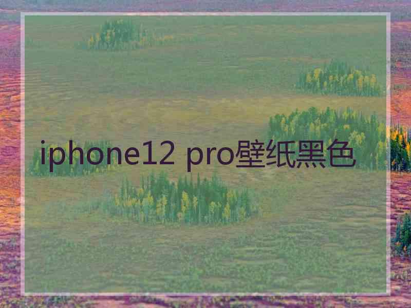 iphone12 pro壁纸黑色