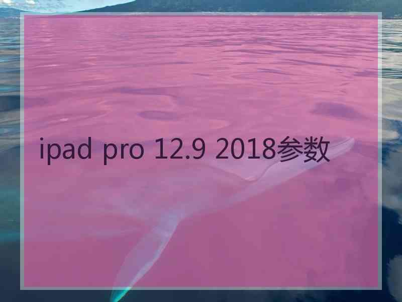 ipad pro 12.9 2018参数