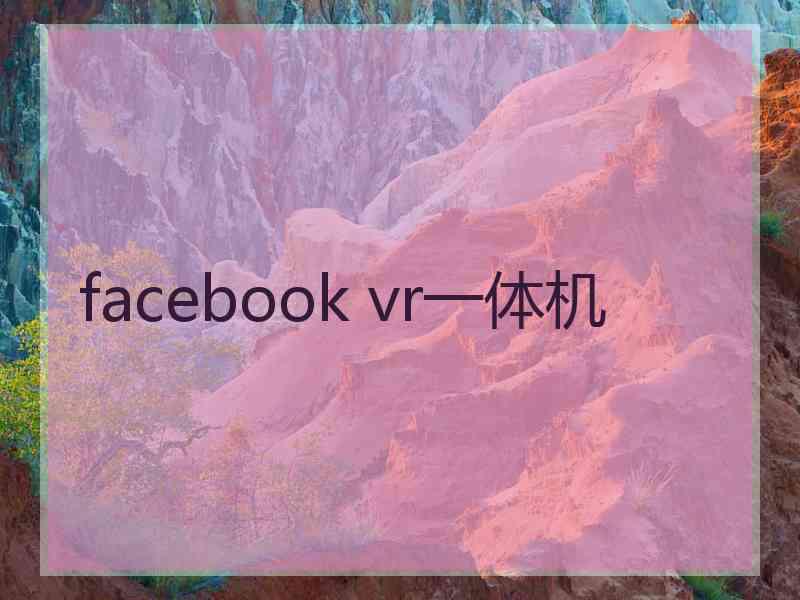 facebook vr一体机