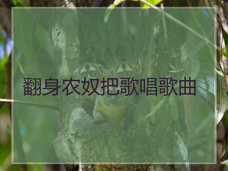 翻身农奴把歌唱歌曲