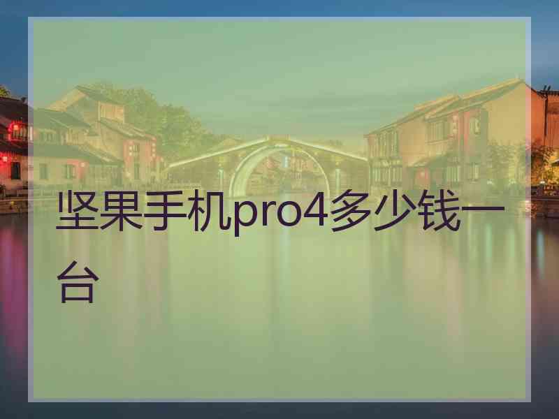 坚果手机pro4多少钱一台