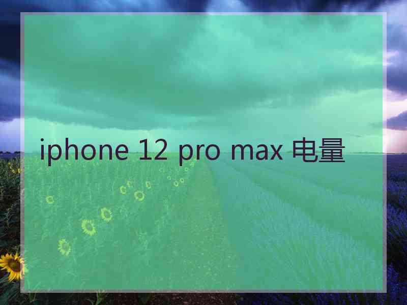 iphone 12 pro max 电量