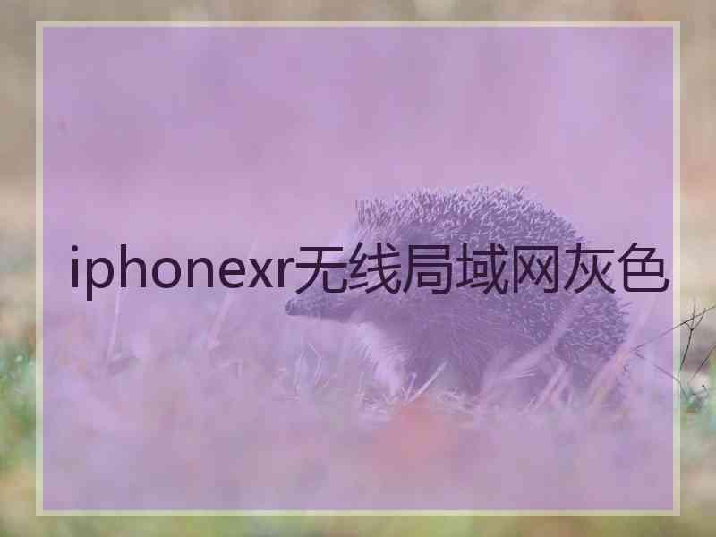 iphonexr无线局域网灰色