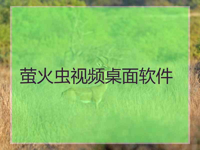 萤火虫视频桌面软件