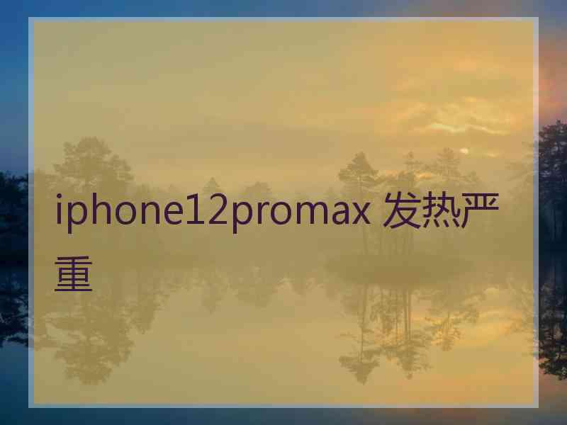 iphone12promax 发热严重