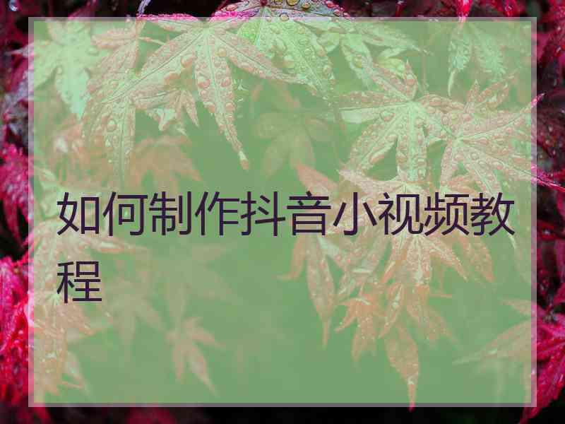 如何制作抖音小视频教程