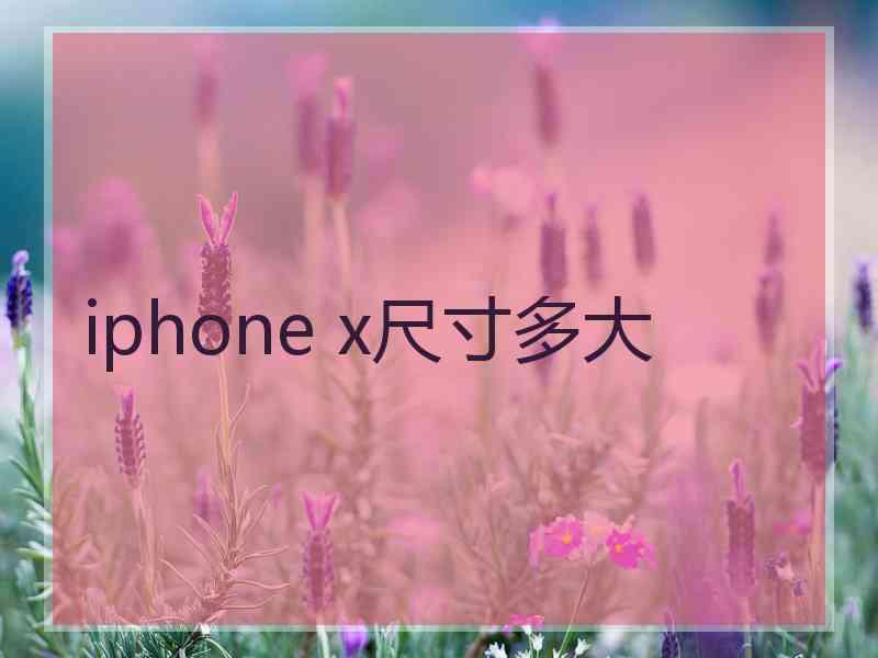 iphone x尺寸多大