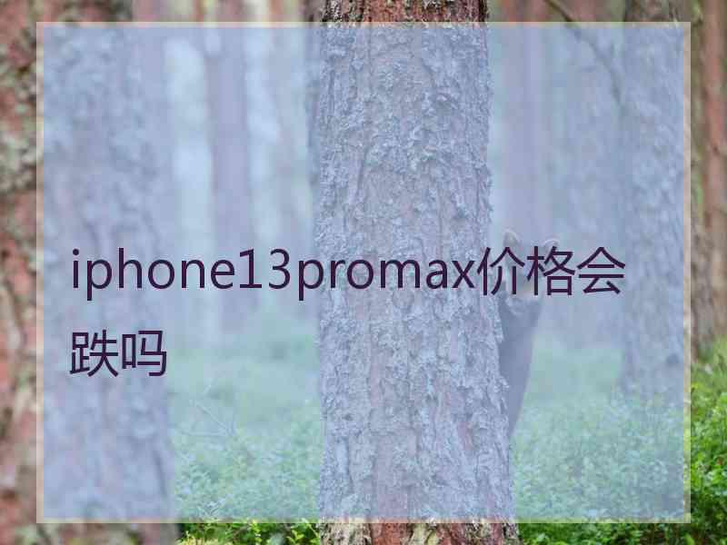 iphone13promax价格会跌吗