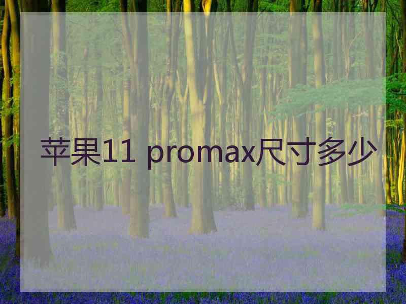 苹果11 promax尺寸多少