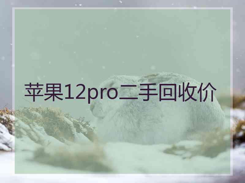 苹果12pro二手回收价