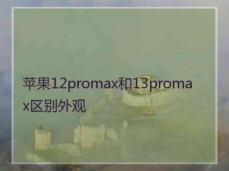 苹果12promax和13promax区别外观