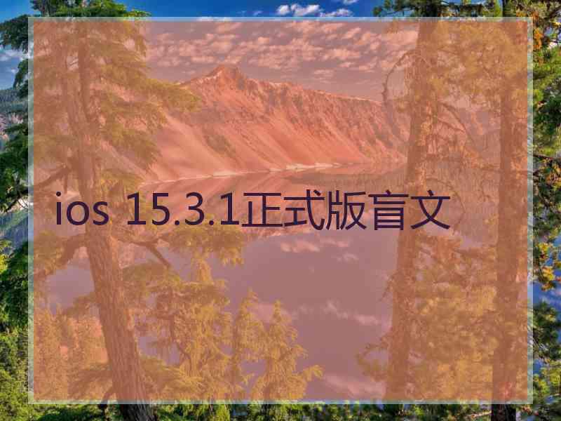 ios 15.3.1正式版盲文