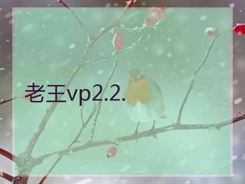 老王vp2.2.