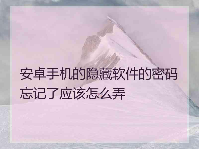 安卓手机的隐藏软件的密码忘记了应该怎么弄