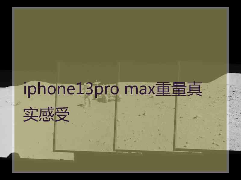 iphone13pro max重量真实感受