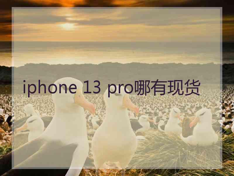 iphone 13 pro哪有现货