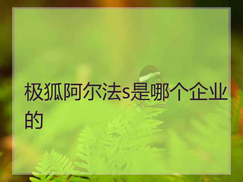 极狐阿尔法s是哪个企业的