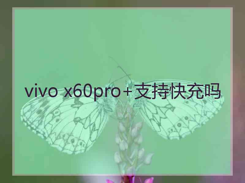 vivo x60pro+支持快充吗