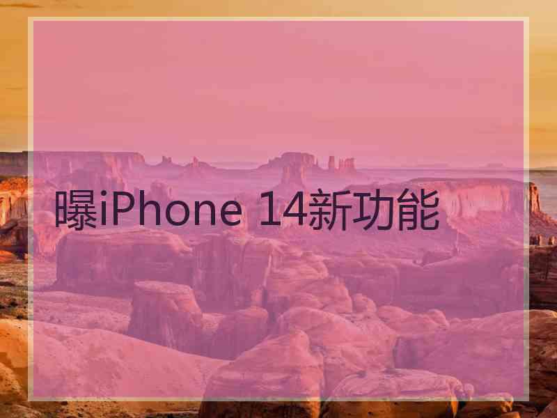 曝iPhone 14新功能