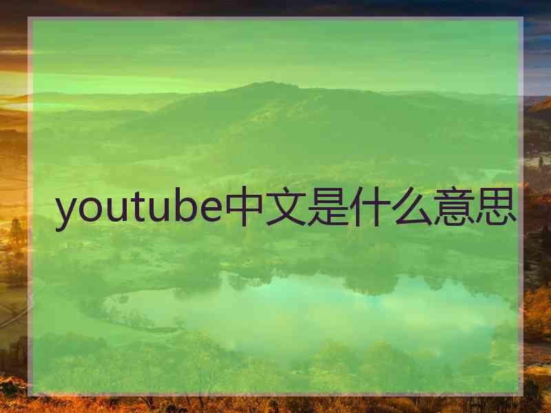 youtube中文是什么意思