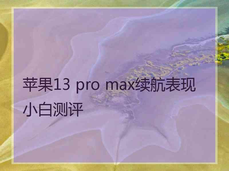 苹果13 pro max续航表现小白测评