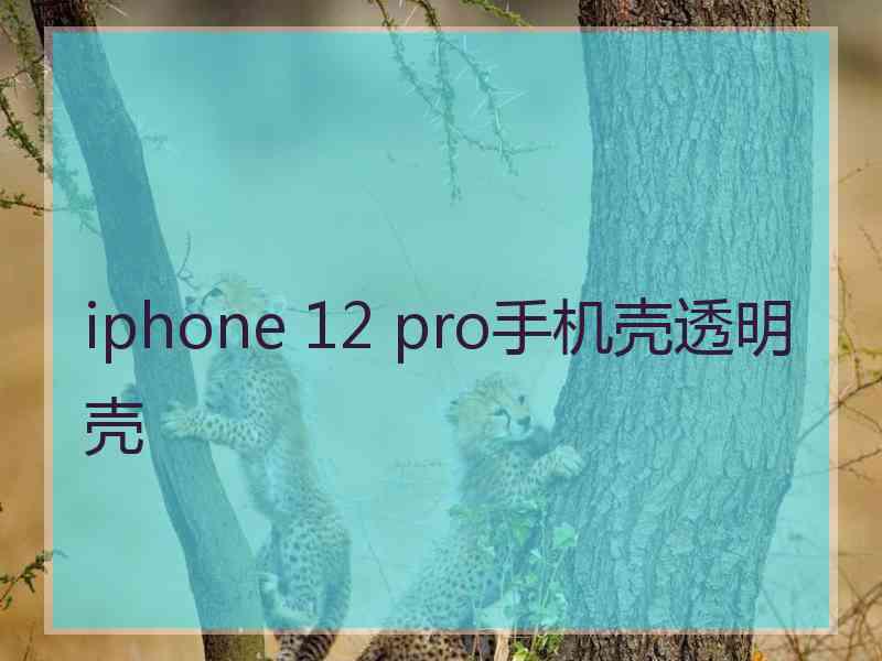 iphone 12 pro手机壳透明壳