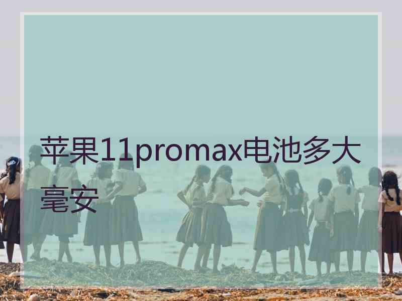 苹果11promax电池多大毫安