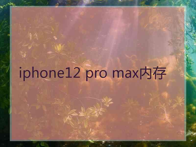 iphone12 pro max内存