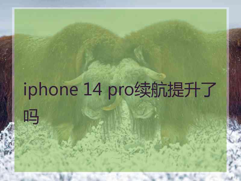 iphone 14 pro续航提升了吗