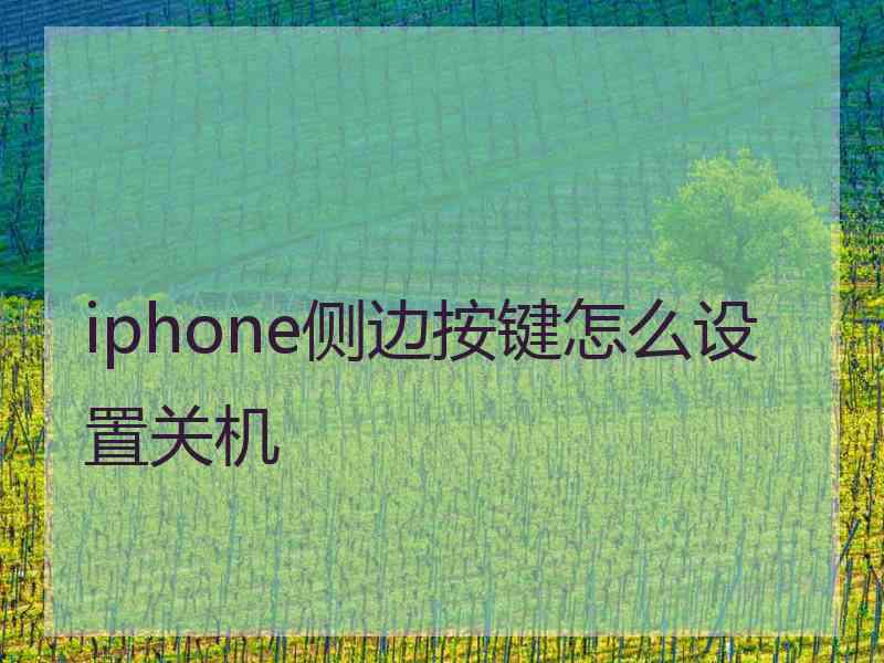 iphone侧边按键怎么设置关机