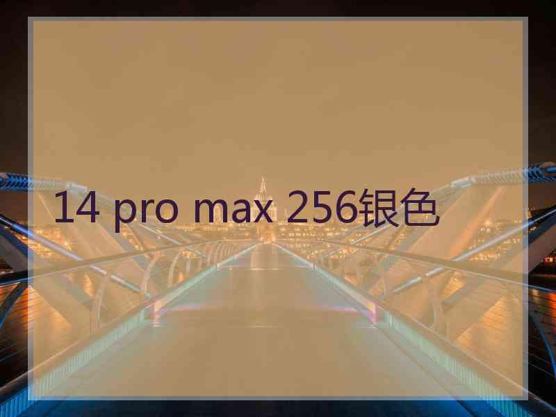 14 pro max 256银色