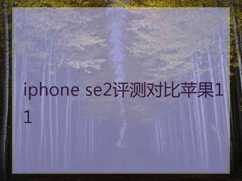 iphone se2评测对比苹果11