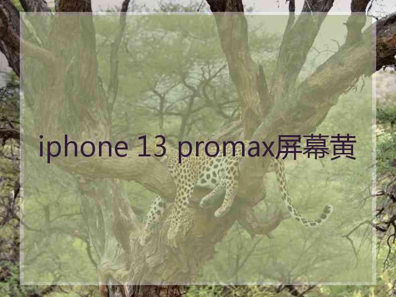 iphone 13 promax屏幕黄