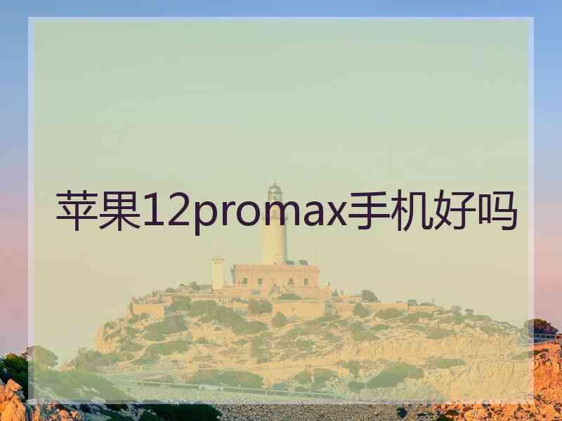 苹果12promax手机好吗