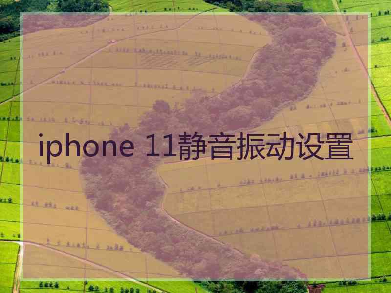 iphone 11静音振动设置