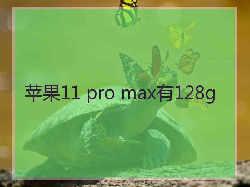 苹果11 pro max有128g