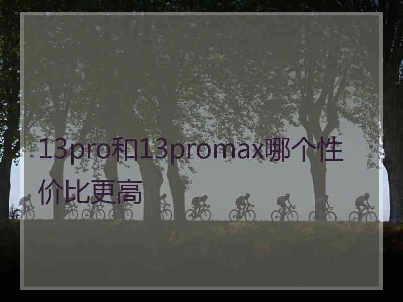 13pro和13promax哪个性价比更高