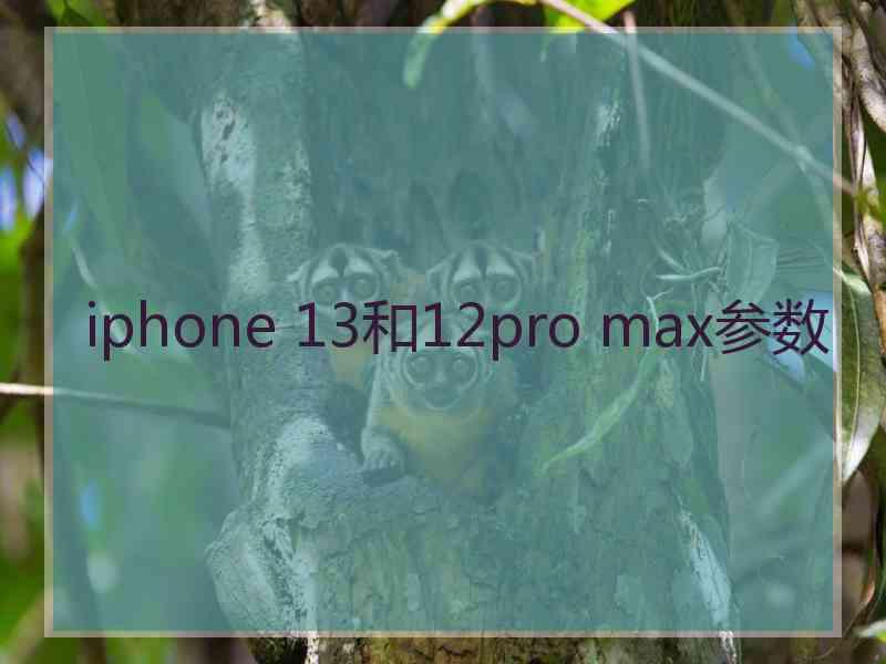 iphone 13和12pro max参数