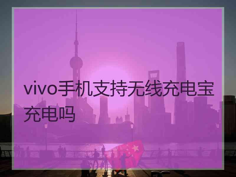 vivo手机支持无线充电宝充电吗