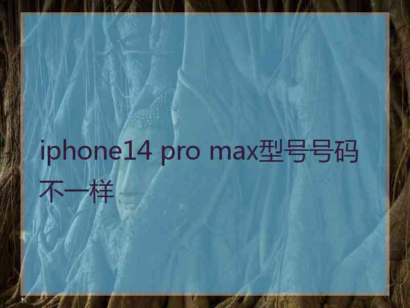 iphone14 pro max型号号码不一样