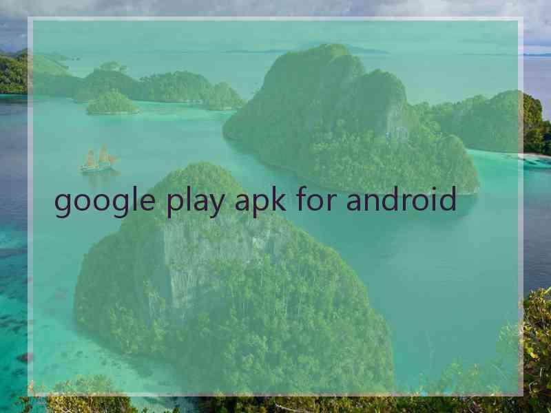 google play apk for android