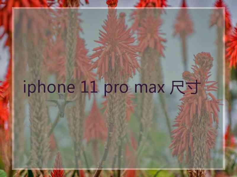 iphone 11 pro max 尺寸