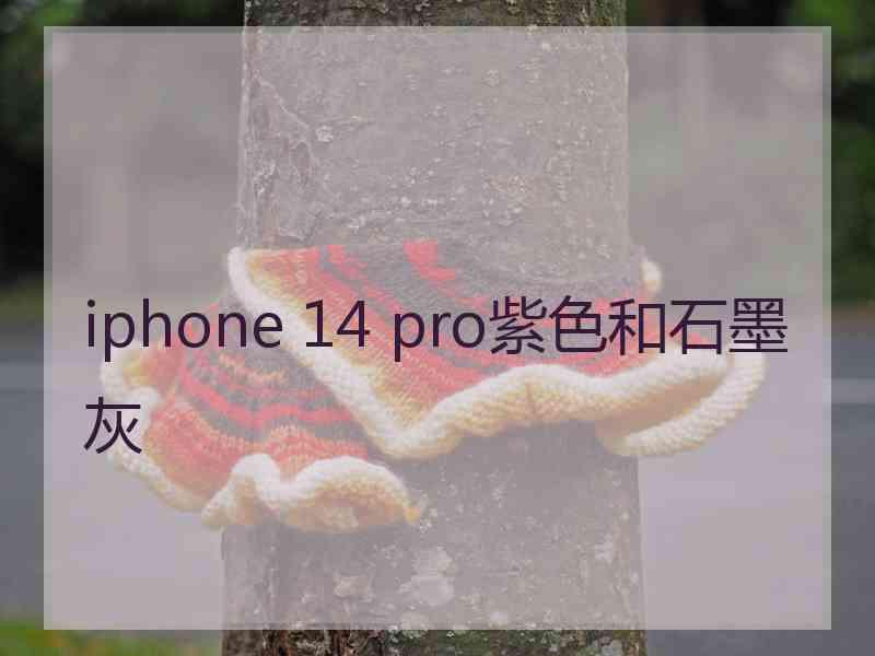 iphone 14 pro紫色和石墨灰