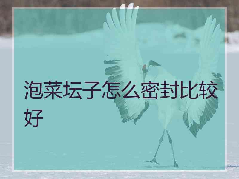 泡菜坛子怎么密封比较好