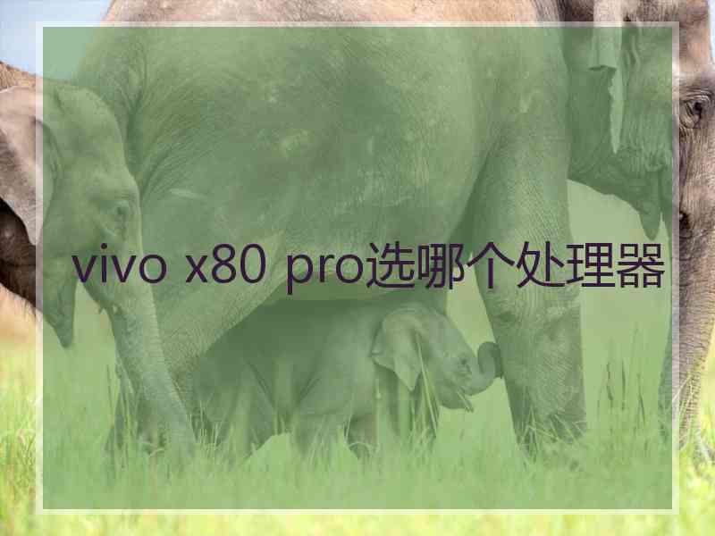 vivo x80 pro选哪个处理器